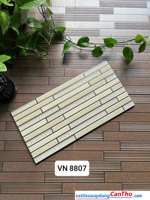 Việt Nhật VN 8807